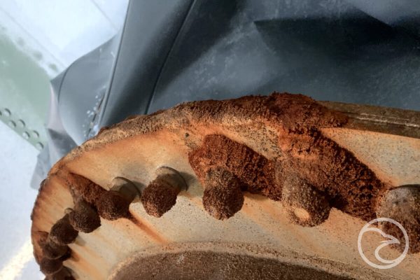 When the Barrier Breaks: The Impact of Liner Deterioration on Storage Tanks