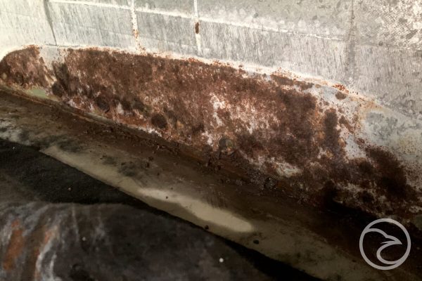 Proactive Measures to Minimize Corrosive Damage in Storage Tanks