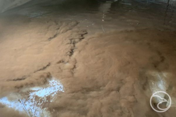 Intrusive Sediment: The Unseen Threat to Your Storage Tanks and Pumps