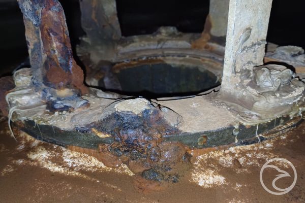 The Silent Intruders: Algae, Vermin, and MIC Corrosion in Storage Tanks